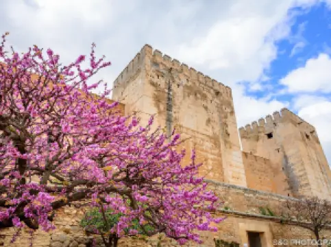 กิจกรรมในฤดูใบไม้ผลิยอดนิยมในกรานาดา