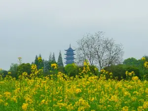 Top 20 Spring Outings in Jiaxing
