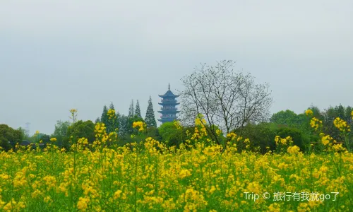 烏鎮（うちん）