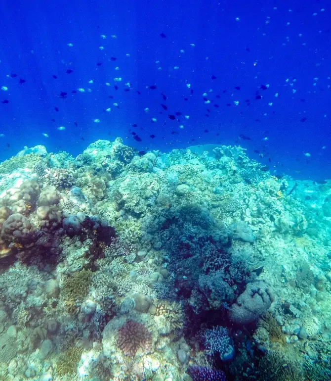 Bunaken Kepulauan