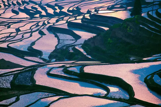 Sunrise Sightseeing in Yuanyang