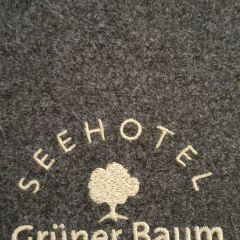 Restaurant im Seehotel Gruner Baum User Photo