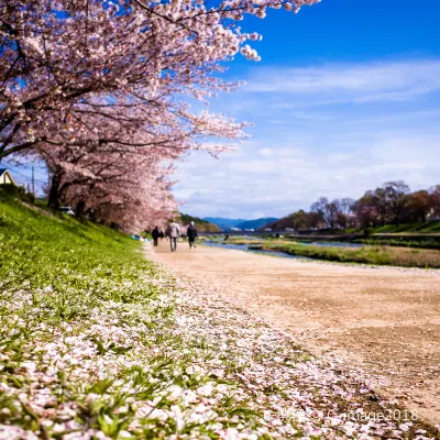 โรงแรมใกล้The Site of Takeno Joo's Residence