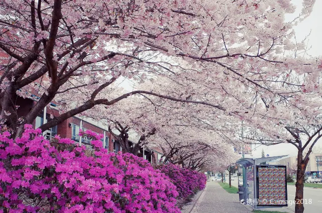 StFX 夏季大學酒店