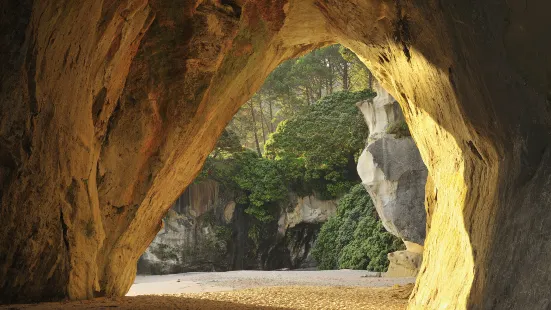 Te Whanganui-A-Hei (Cathedral Cove) Marine Reserve