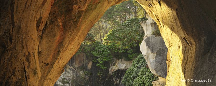 Te Whanganui-A-Hei (Cathedral Cove) Marine Reserve
