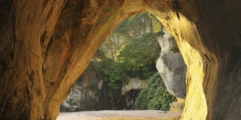 蒂旺格努伊阿黑（教堂灣）海洋保護區