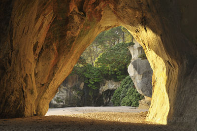Te Whanganui-A-Hei (Cathedral Cove) Marine Reserve