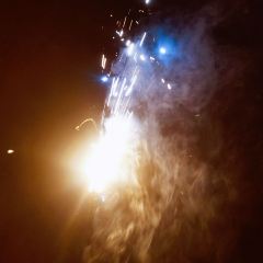 TAO HUA CHONG SEN LIN GONG YUAN HUA CHENG NONG GU User Photo