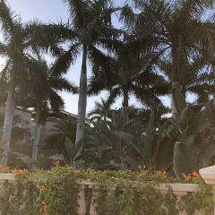 龙沐湾温德姆至尊豪廷酒店豪廷轩中餐厅 User Photo