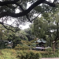 西天目林海农庄 User Photo