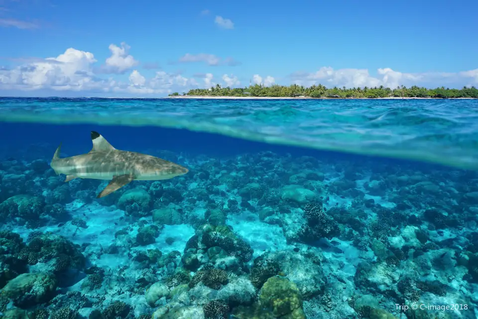 2_Rangiroa