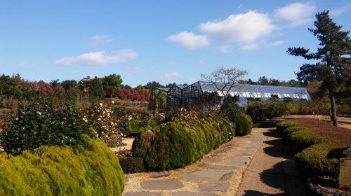 Camellia Hill Botanical Garden