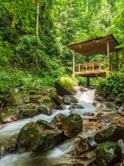 Moli Tropical Rainforest Scenic Area