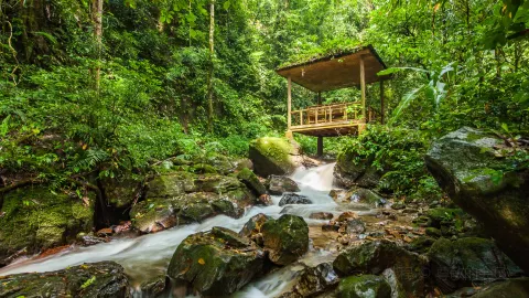 สวนป่าฝนเขตร้อนโม่หลี่  attraction in รุ่ยลี่