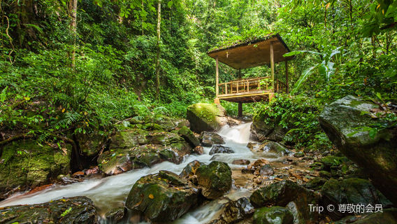 Moli Tropical Rainforest Scenic Area