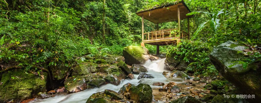 Moli Tropical Rainforest Scenic Area