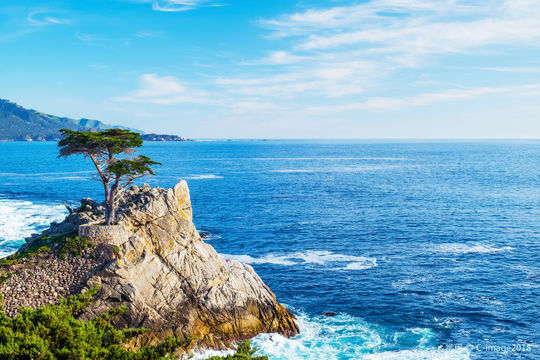 Pebble Beach