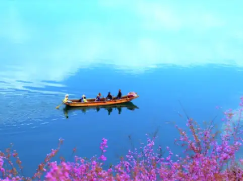 Fioriture Primaverili a Ninglang: le opzioni più popolari