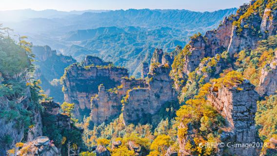 Day trip to Avatar Mountain and Glass Bridge in Zhangjiajie