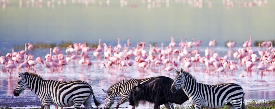 Ngorongoro