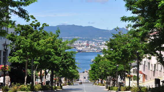 Гора Хакодат