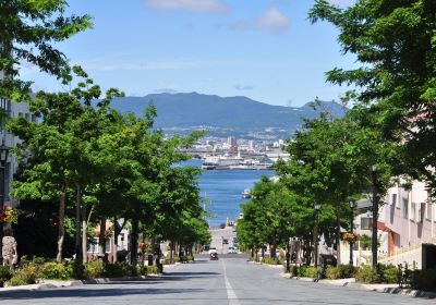 Gunung Hakodate (Hakodate-yama)