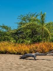 Playa Potrero, Costa Rica