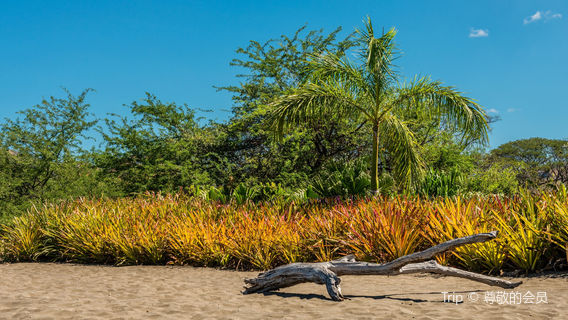 Плайя Потреро, Коста-Рика