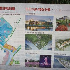 ZHEN YANG FANG User Photo