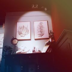 鹿森书店(上下杭店) User Photo