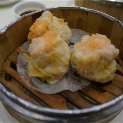 Phoenix House User Photo