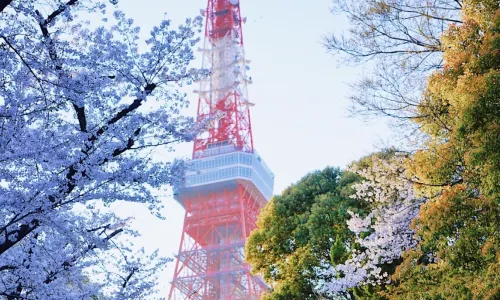 Shiba Park
