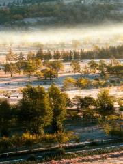 Qiansongba Forest Park