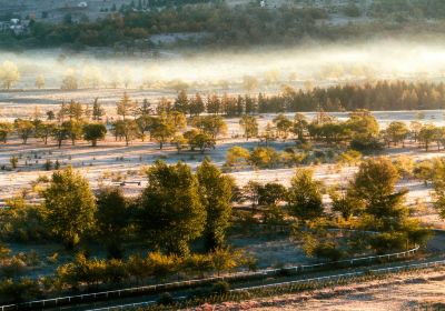 Qiansongba Forest Park