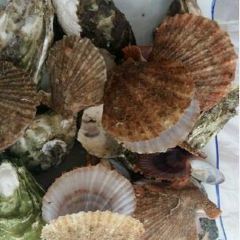 海濤漁家海鮮小廚(森林公園吳家台店)張用戶圖片