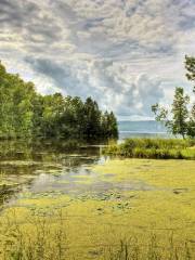 Forest Beach Migratory Preserve