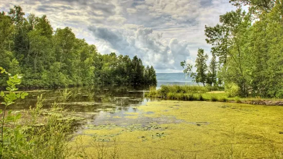 Forest Beach Migratory Preserve