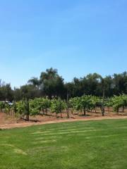 Bernardo Winery