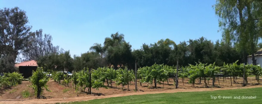 Bernardo Winery