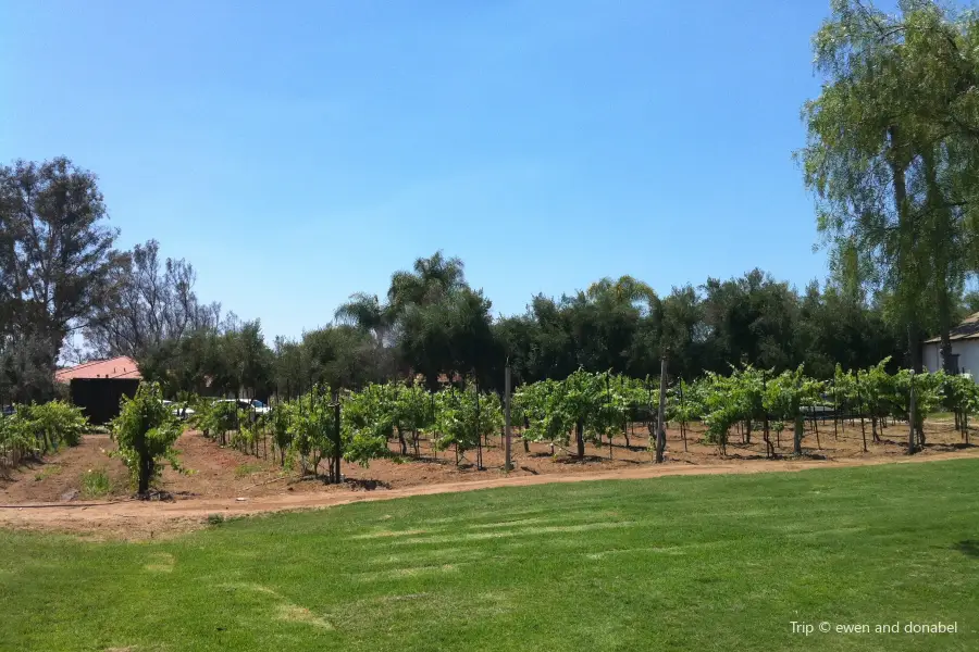 Bernardo Winery