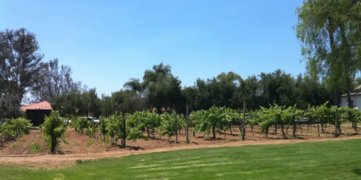 Bernardo Winery