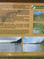 Curonian Spit National Park 庫爾斯沙嘴國家公園