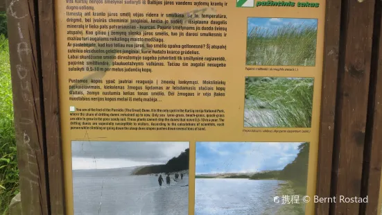 Curonian Spit National Park 庫爾斯沙嘴國家公園