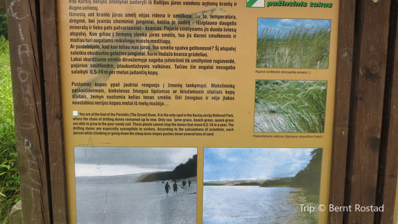 Curonian Spit National Park