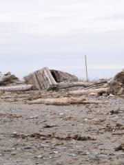 Nearshore and Estuarine Restoration Project