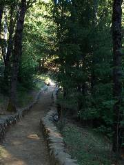 Laurel Falls Trail