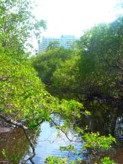 Loxahatchee River Aquatic Preserve