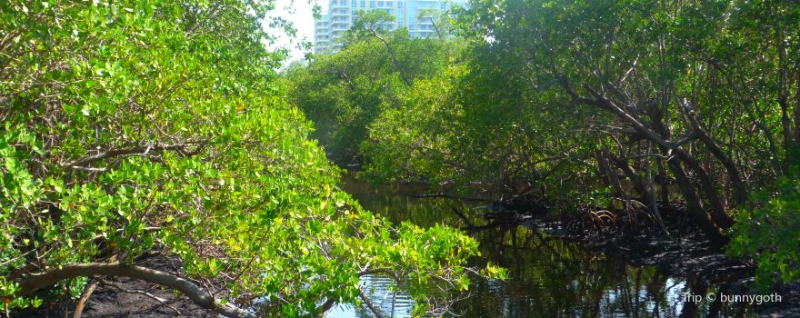 Loxahatchee River - Lake Worth Creek Aquatic Preserve