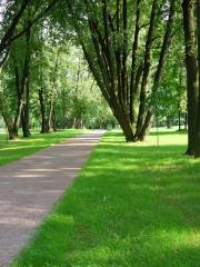 Arshinovsky park